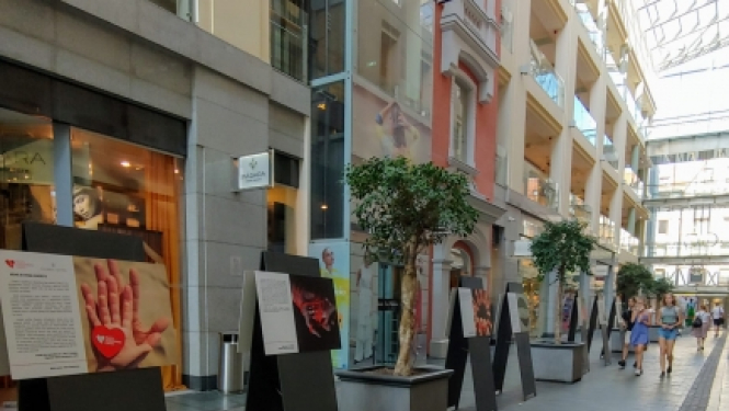 Rīdzenes ielā aplūkojama VADC stāstu izstāde “Mums ir viena asinsrite”