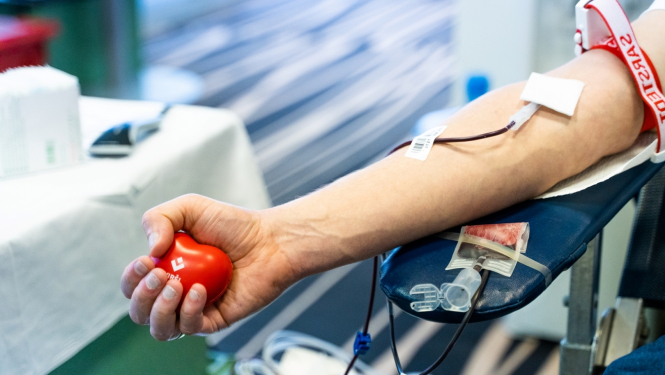 Sadarbība ar Viršiem