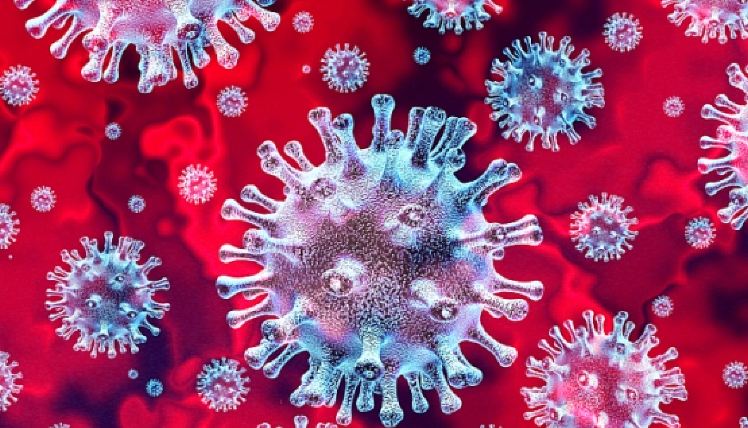 Koronavīrusa (Covid-19) ietekme uz asins ziedošanas procesu