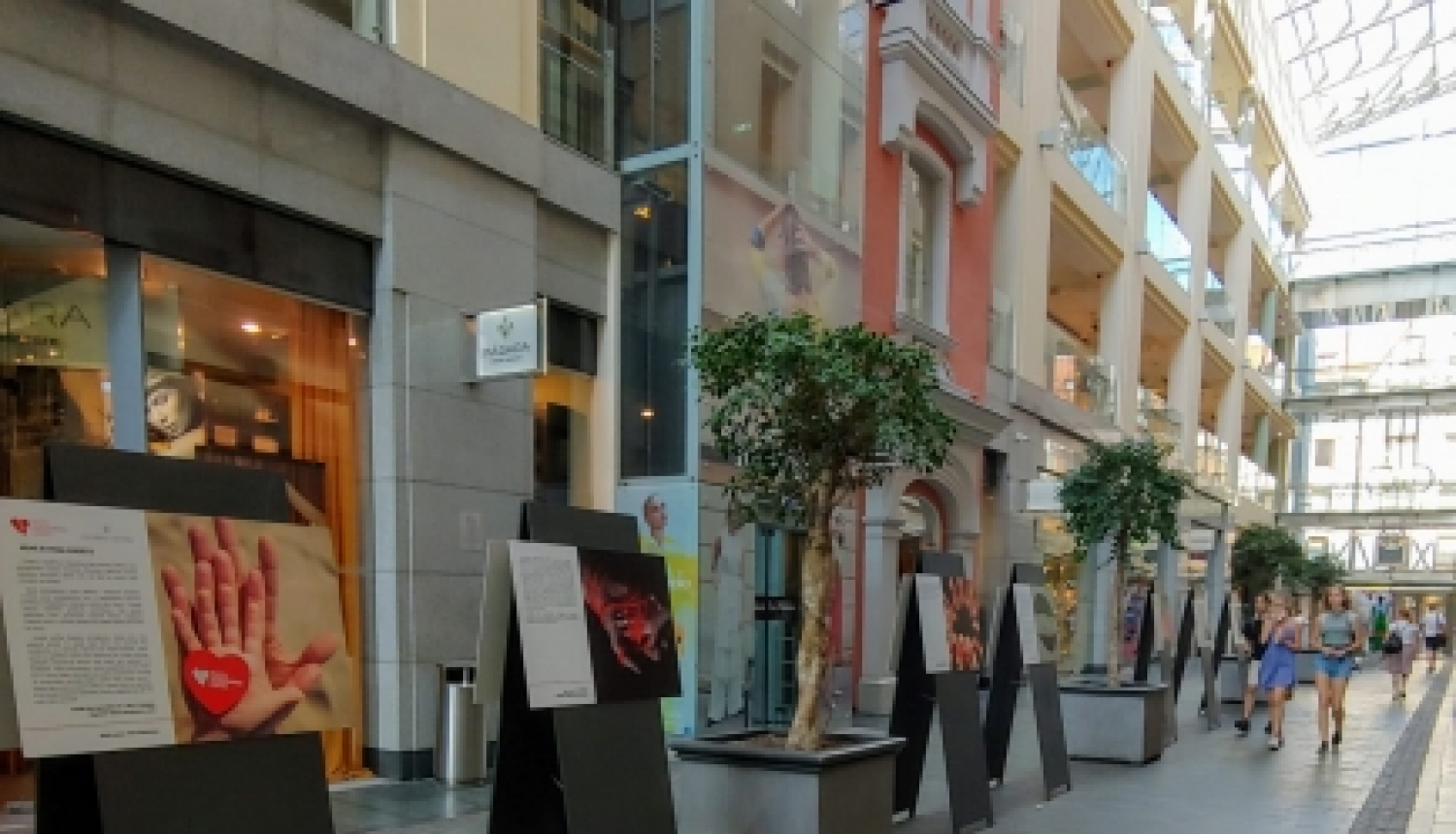 Rīdzenes ielā aplūkojama VADC stāstu izstāde “Mums ir viena asinsrite”